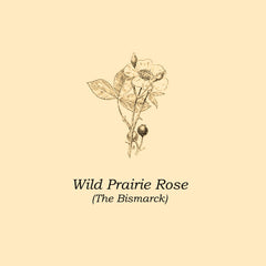 The Bismarck : "Wild Prairie Rose" Lp